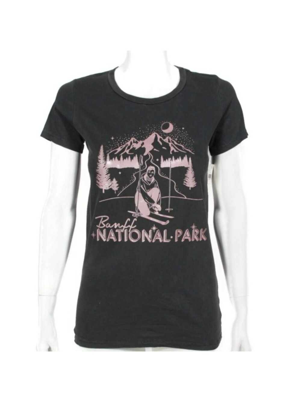 New MIDNIGHT RIDER Banff National Park Canada Gray T-Shirt Top sz Small NWT /301